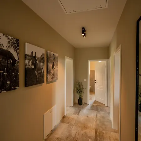 Vila Casa San Vital Vizinada