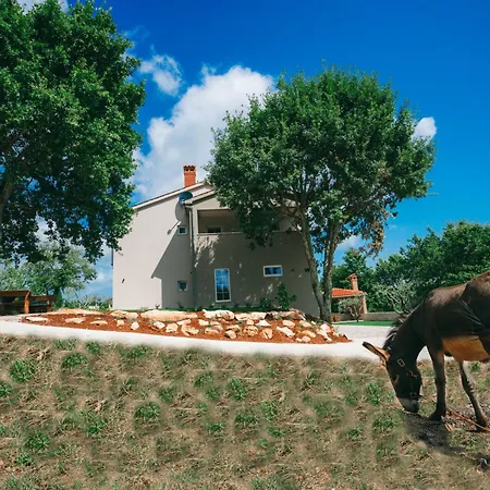 Villa Casa San Vital